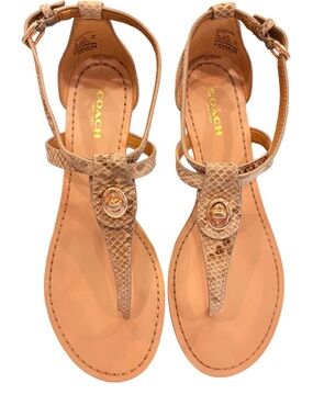 Coach Ingrid Women’s Natural Snake Print Sandals Size 7.5 New In Box